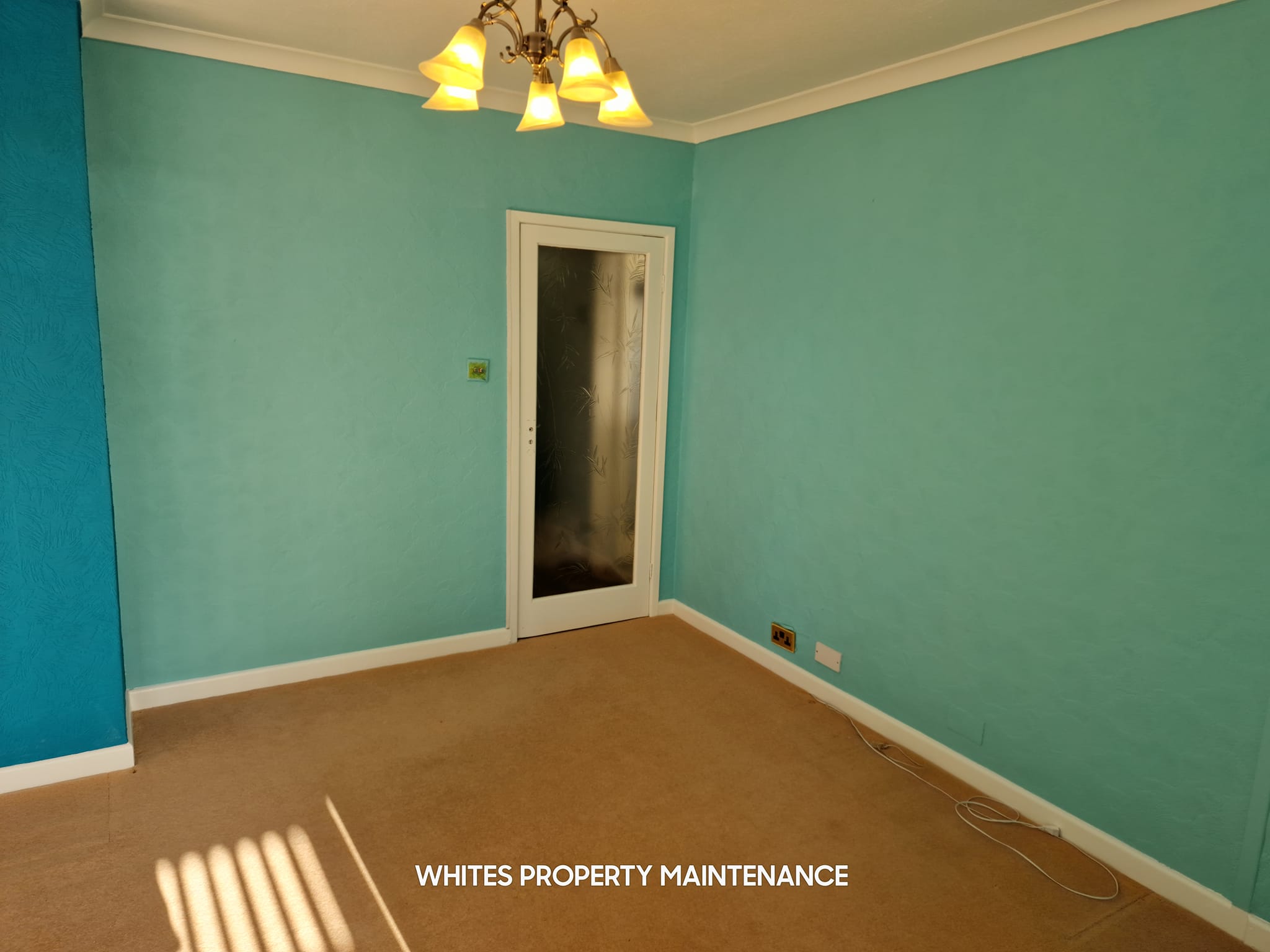 482086505 1215268777273155 7576040974646341259 n