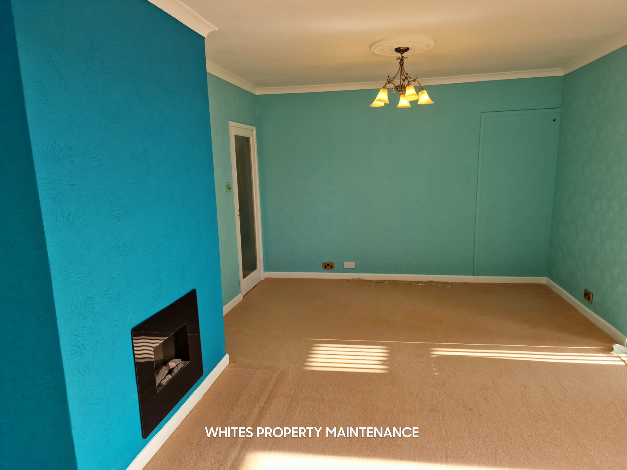 482321871 1215269017273131 2015837763203190630 n