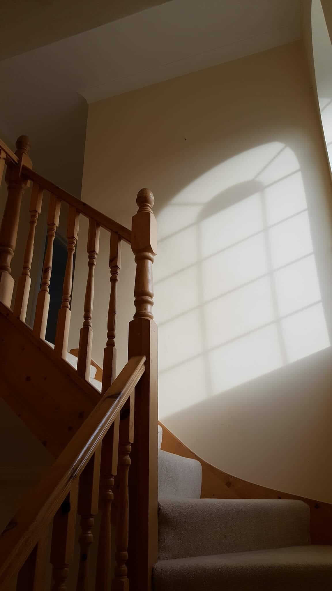 488448194 1240743368059029 3190554005554062243 n