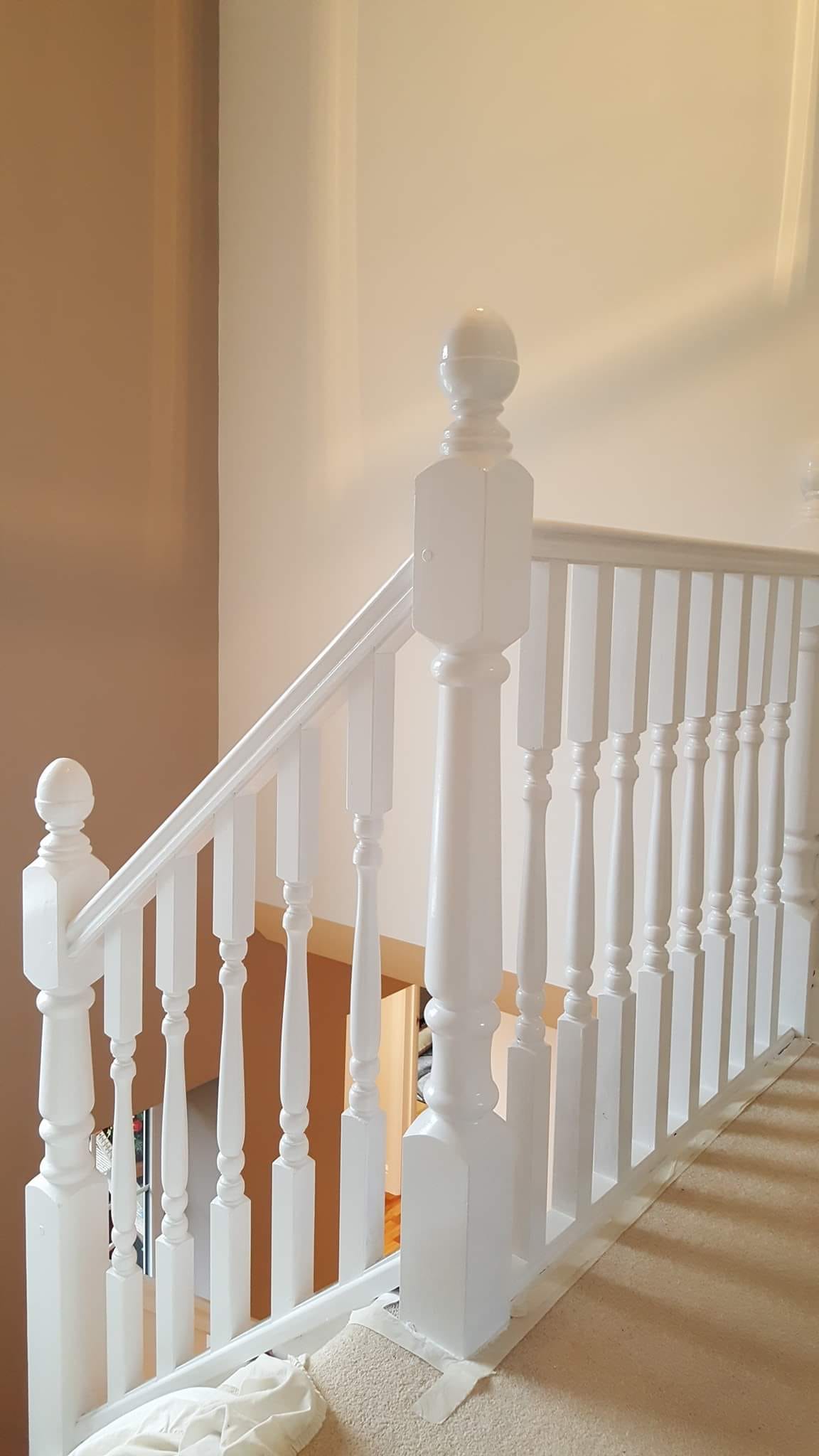 488869737 1240743494725683 5613715558091112286 n